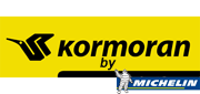Kormoran