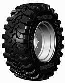 TH500