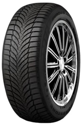 Roadstone Eurovis Alpine 2 195/55R15 89H